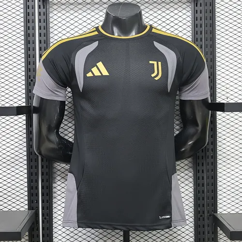 Juventus Alternative Training top
